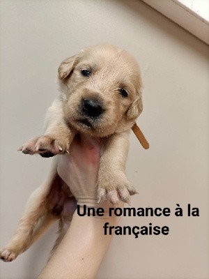 Une romance à la française