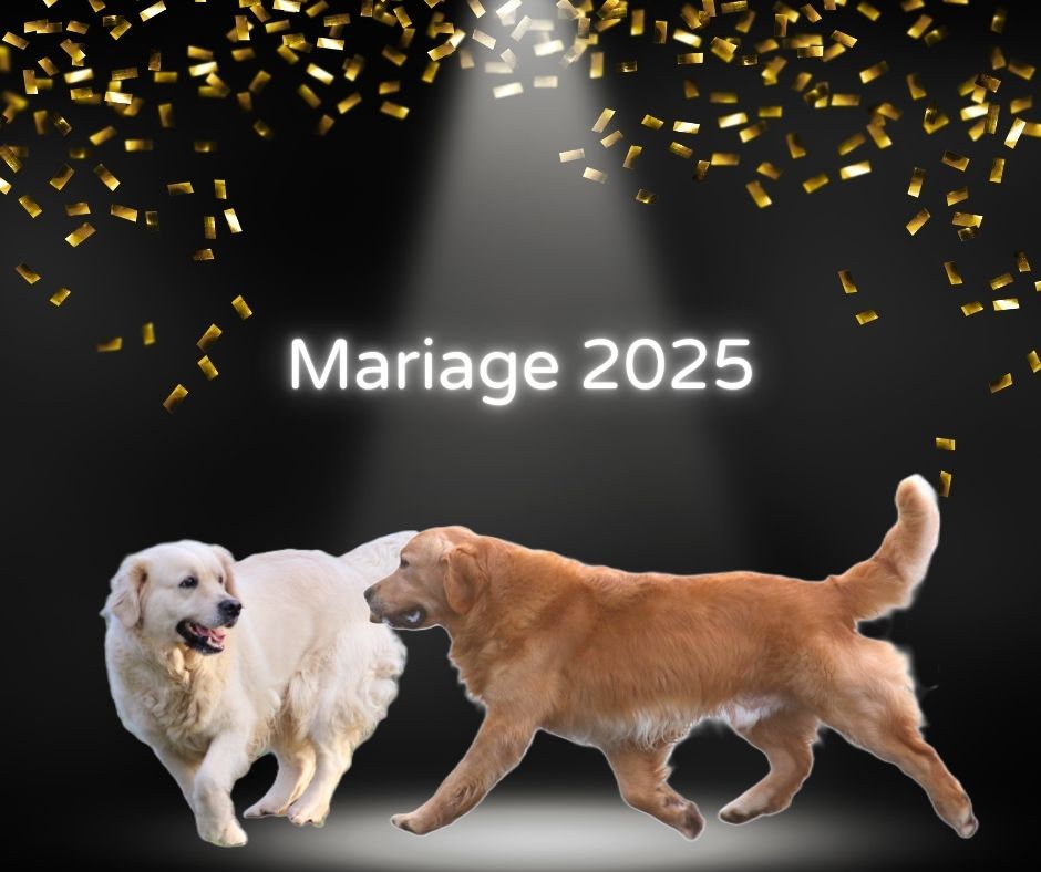 Future mariage 2025