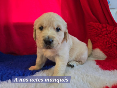 A nos actes manqués