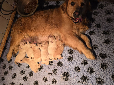 Après moi le déluge